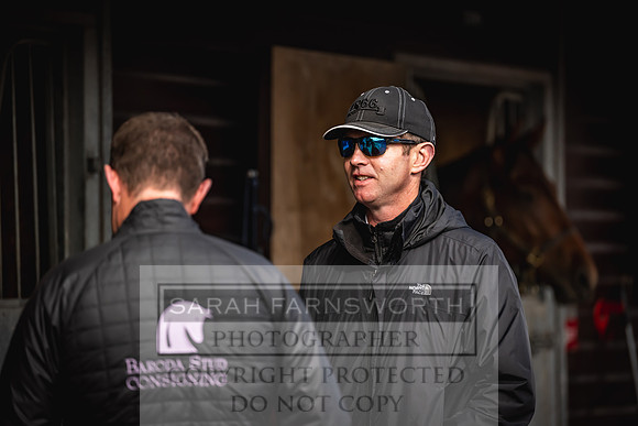 Goffs UK Premier Yearling Sale 2023-369