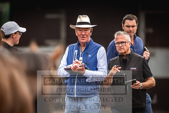 Goffs UK Premier Yearling Sale 2023-98
