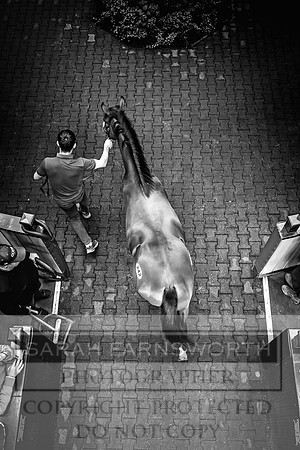 Goffs UK Premier Yearling Sale 2023-399