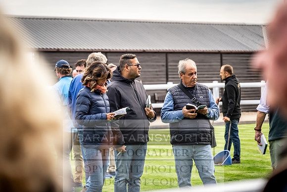 Goffs UK Premier Yearling Sale 2023-126