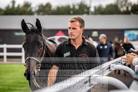 Goffs UK Premier Yearling Sale 2023-169