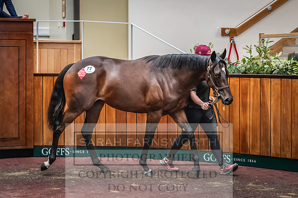 Goffs UK Premier Yearling Sale 2023-193