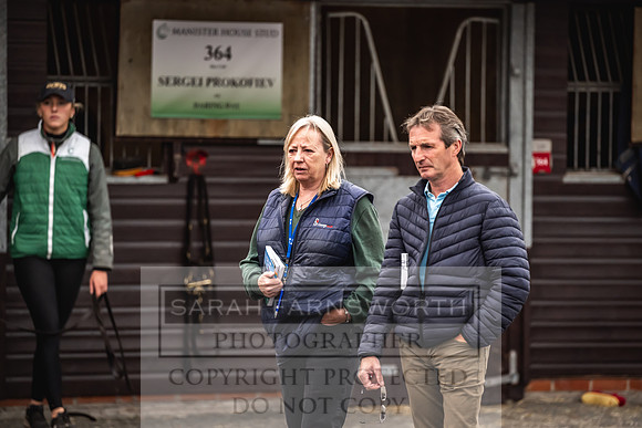 Goffs UK Premier Yearling Sale 2023-32