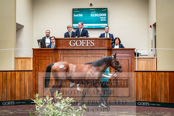 Goffs UK Premier Yearling Sale 2023-230