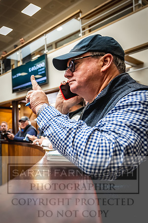 Goffs UK Premier Yearling Sale 2023-424