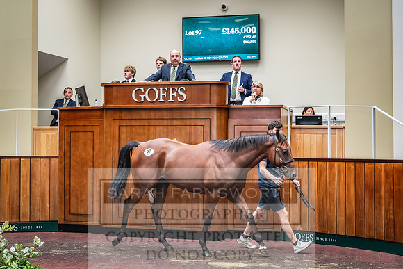 Goffs UK Premier Yearling Sale 2023-207