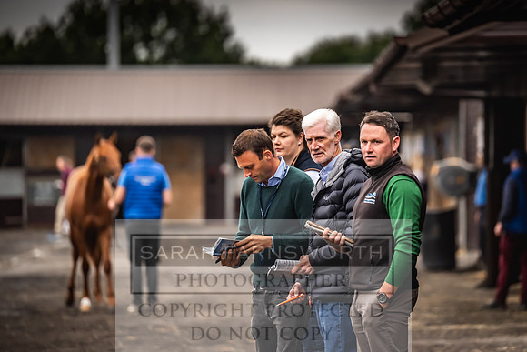 Goffs UK Premier Yearling Sale 2023-54