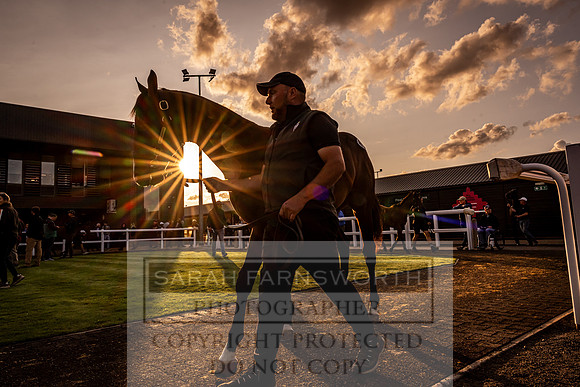 Goffs UK Premier Yearling Sale 2023-306