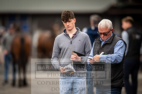 Goffs UK Premier Yearling Sale 2023-111