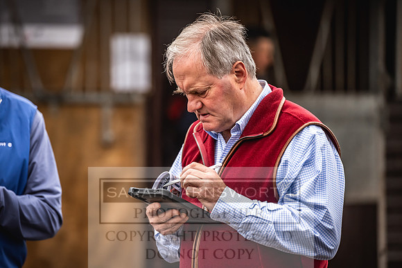 Goffs UK Premier Yearling Sale 2023-40