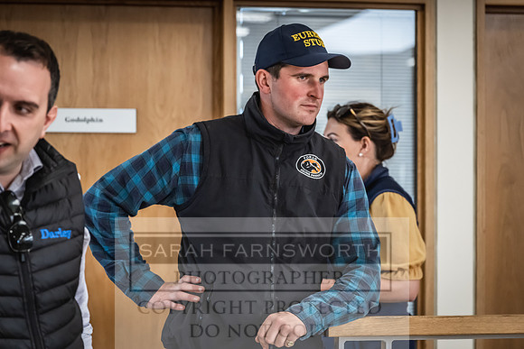 Goffs UK Premier Yearling Sale 2023-485