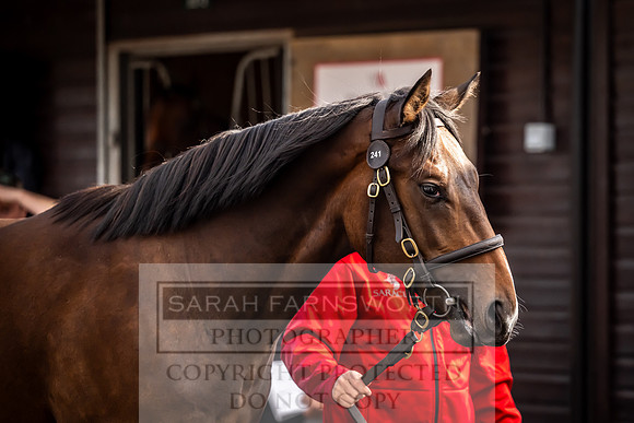 Goffs UK Premier Yearling Sale 2023-339