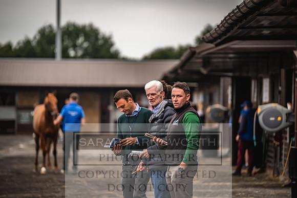 Goffs UK Premier Yearling Sale 2023-53