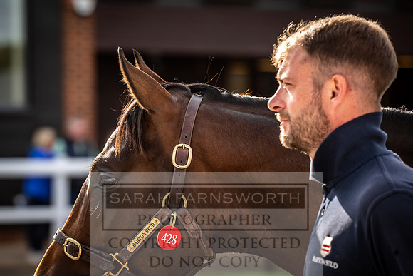 Goffs UK Premier Yearling Sale 2023-527