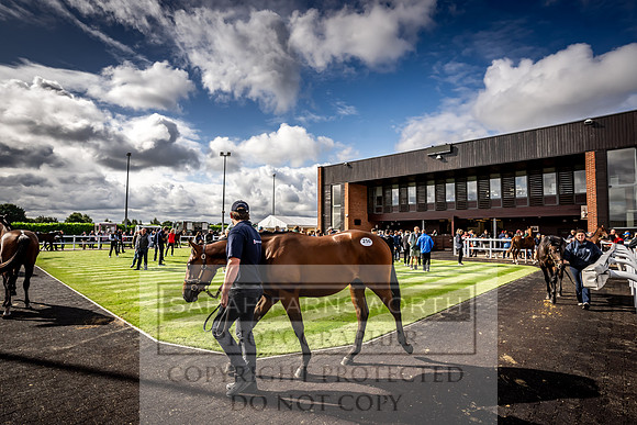 Goffs UK Premier Yearling Sale 2023-408