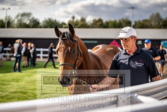 Goffs UK Premier Yearling Sale 2023-518