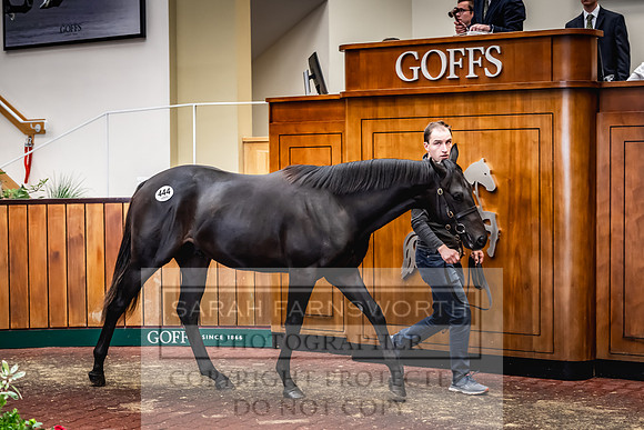 Goffs UK Premier Yearling Sale 2023-540