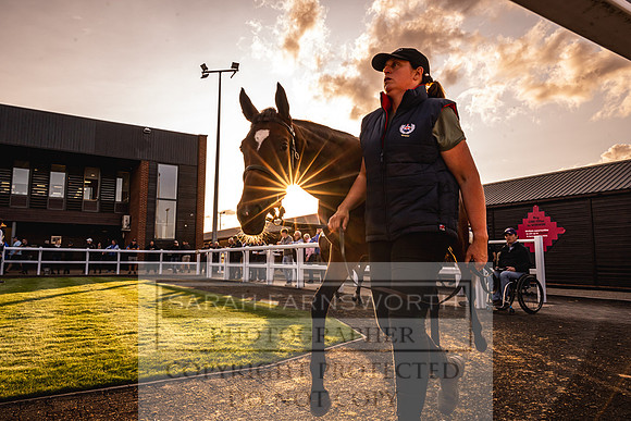 Goffs UK Premier Yearling Sale 2023-307