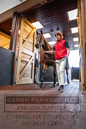 Goffs UK Premier Yearling Sale 2023-430