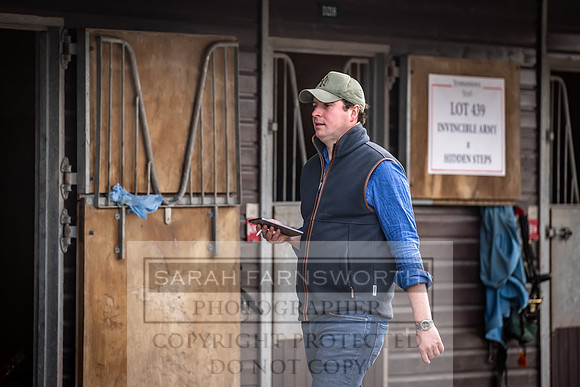 Goffs UK Premier Yearling Sale 2023-368