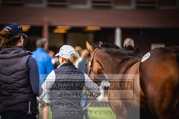 Goffs UK Premier Yearling Sale 2023-390