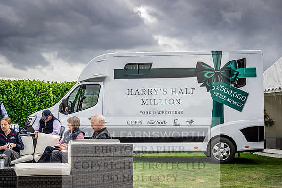 Goffs UK Premier Yearling Sale 2023-263