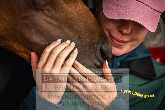 Goffs UK Premier Yearling Sale 2023-52