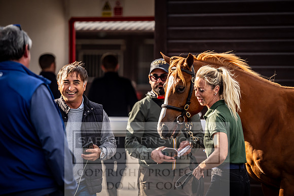 Goffs UK Premier Yearling Sale 2023-516
