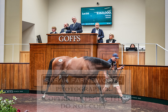 Goffs UK Premier Yearling Sale 2023-196