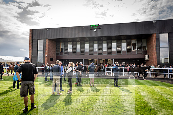 Goffs UK Premier Yearling Sale 2023-247