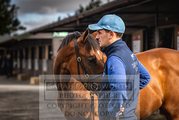 Goffs UK Premier Yearling Sale 2023-341