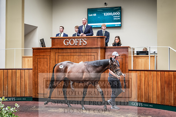 Goffs UK Premier Yearling Sale 2023-155