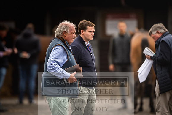 Goffs UK Premier Yearling Sale 2023-75