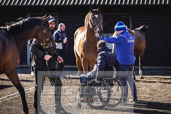 Goffs Breeze Up 2023-18