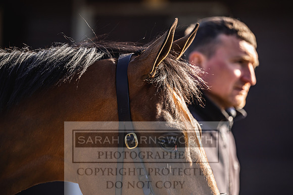 Goffs Breeze Up 2023-13
