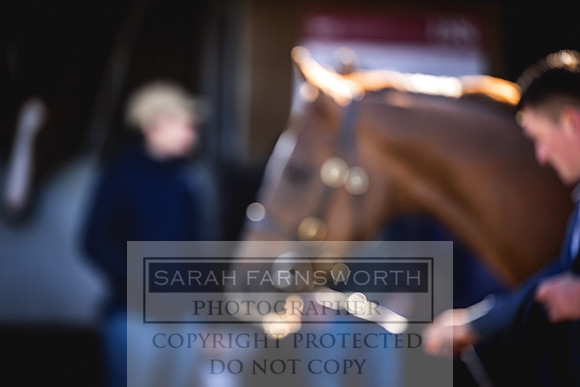 Goffs Breeze Up 2023-4