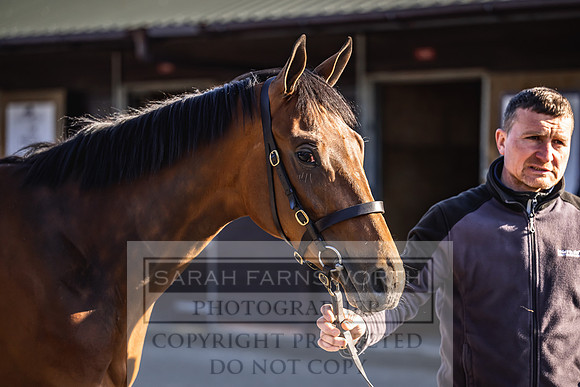 Goffs Breeze Up 2023-12