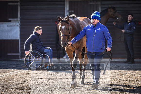 Goffs Breeze Up 2023-1