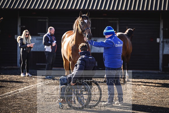 Goffs Breeze Up 2023-17