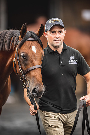 Goffs Premier Yearling Sale 2022-119