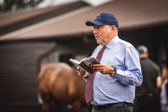 Goffs Premier Yearling Sale 2022-63