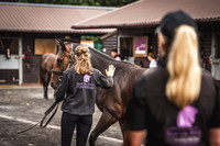 Goffs Premier Yearling Sale 2022-19