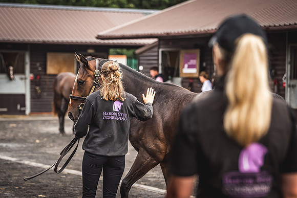 Goffs Premier Yearling Sale 2022-19