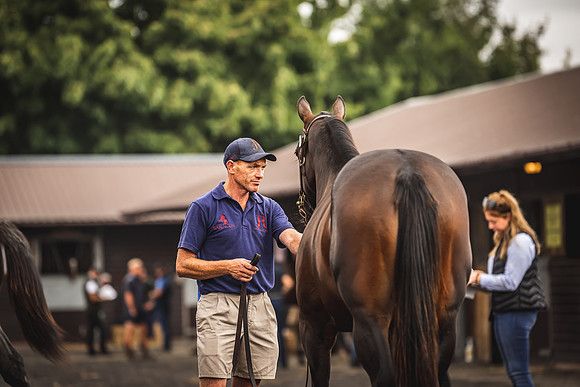Goffs Premier Yearling Sale 2022-62
