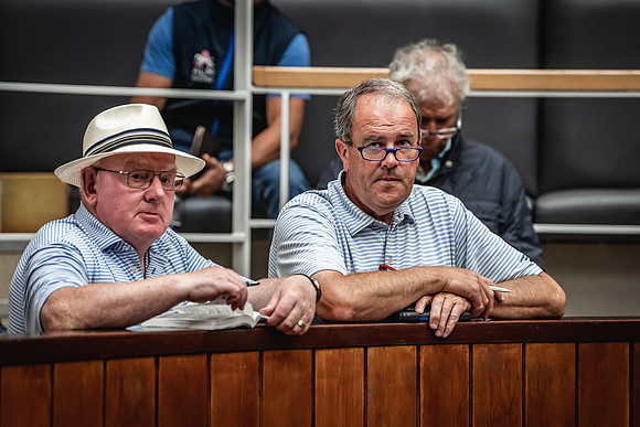 Goffs Premier Yearling Sale 2022-150