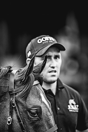 Goffs Premier Yearling Sale 2022-120