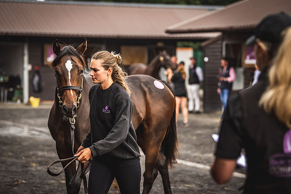 Goffs Premier Yearling Sale 2022-21