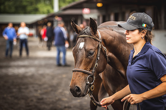Goffs Premier Yearling Sale 2022-66
