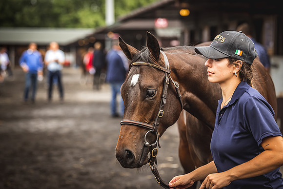 Goffs Premier Yearling Sale 2022-68