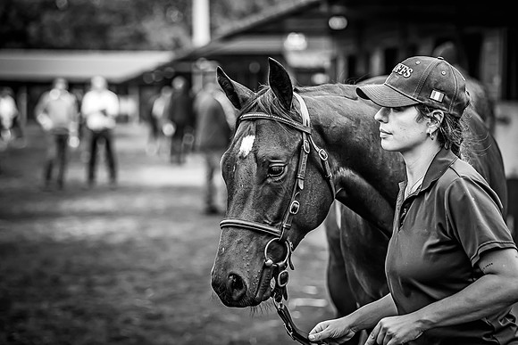 Goffs Premier Yearling Sale 2022-67